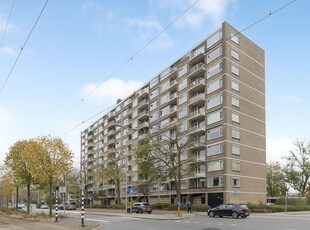 Molenvliet 196, Rotterdam