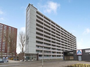 Plein 1953 92, Rotterdam