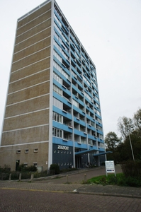 Ericalaan in Den Haag (90m2)