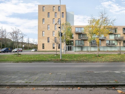 Siersteenlaan in Groningen (65m2)