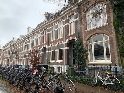 Stijn Buysstraat in Nijmegen (18m2)