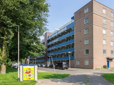 Washingtondreef in Utrecht (59m2)