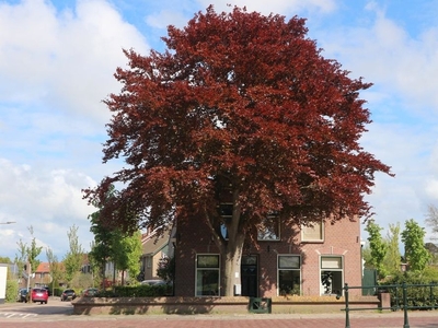 Wassenaarseweg in Katwijk (113m2)