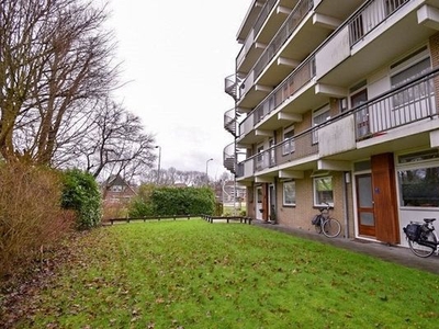 Zuiderweg in Zuidoostbeemster (60m2)