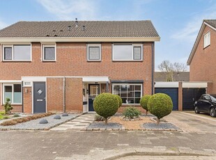 Rijnstraat 29, Terneuzen