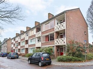 Amersfoort - Ringweg-Randenbroek