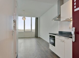 Appartement Amsterdam - Bos en Lommerplantsoen