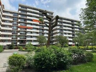 Portiekflat (appartement) te huur in Rijswijk