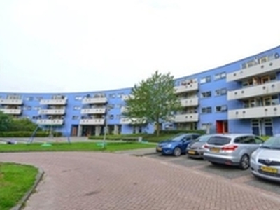 Appartement te huur in Almere