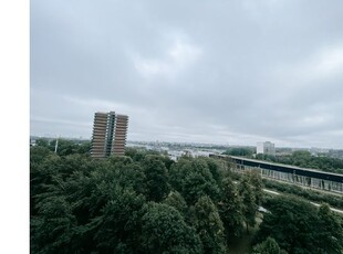 Huur 1 slaapkamer appartement van 53 m² in Schiedam