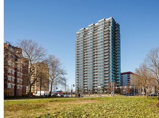 1 bedroom apartment for rent in C.T. Storklaan 437 2285 VV Rijswijk