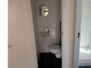 Huur 2 slaapkamer appartement van 55 m² in Delft