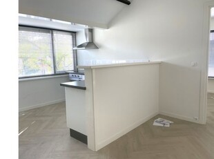 Huur 3 slaapkamer appartement van 80 m² in Haarlem