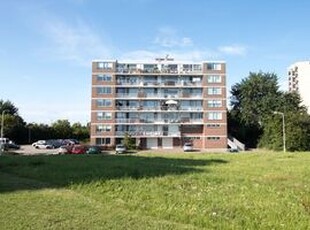 Portiekflat (appartement) te huur in Terneuzen