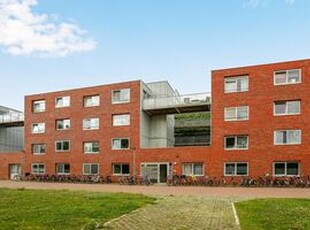 Studentenkamer (appartement) te huur in Leiden