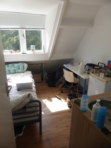 Kamer Wandelpad in Hilversum