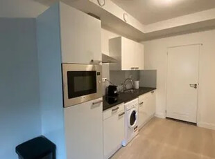 Huur 2 slaapkamer appartement van 45 m² in Haarlem