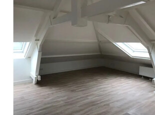 Huur 2 slaapkamer appartement van 50 m² in Haarlem