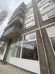 Appartement Boezemsingel in Rotterdam