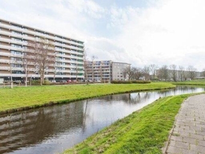 Cruquiuslaan in Leiden (85m2)