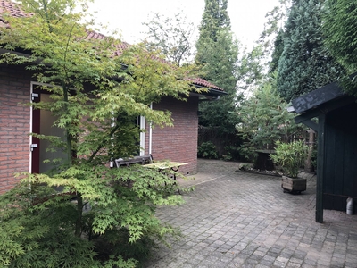 Huis Groene Papegaai in Hoogerheide