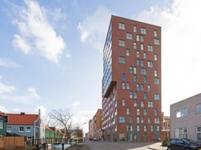 Teakhout in Zaandam (50m2)