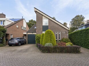 Hammerbeek 7