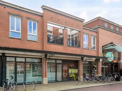 Mangrovelaan 41