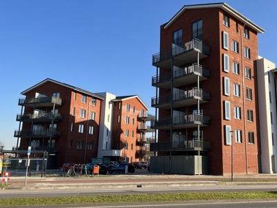 Regenboogven in Veldhoven (78m2)