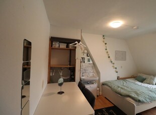 Appartement te huur Sterreplein, Maastricht