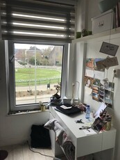 Kamer te huur Sterreplein, Maastricht