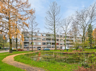 Kasteel Nijenrodestraat 197