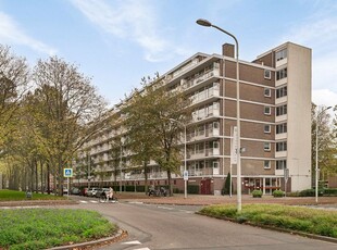 Volendamlaan 1004, Den Haag