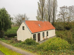 Zuiddijk 22, Hengstdijk