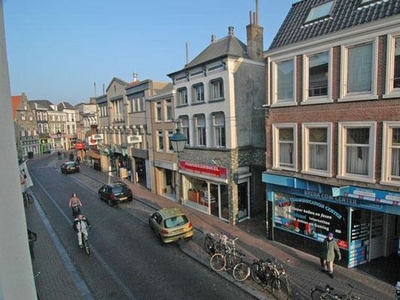 Haagdijk in Breda (50m2)