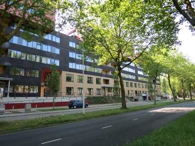 Wadestein in Ede (90m2)