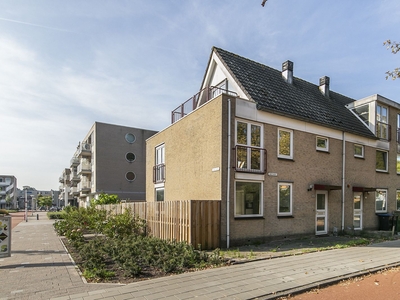 Grote Beer in Amstelveen (132m2)