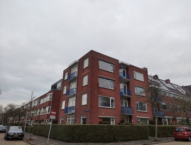 Moddermanlaan in Groningen (60m2)