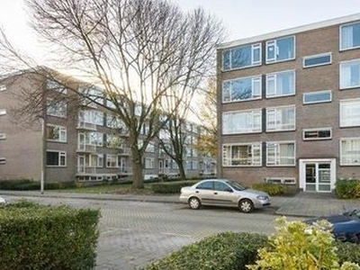 Ruigoord in Rotterdam (57m2)