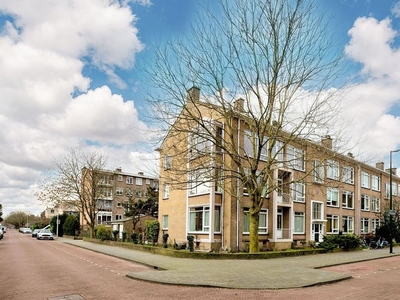 Thérèse Schwartzestraat in Den Haag (119m2)