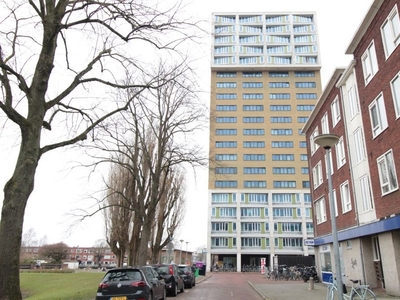 Wielewaalplein in Groningen (48m2)