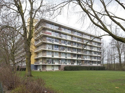 Wijenburglaan in Arnhem (80m2)