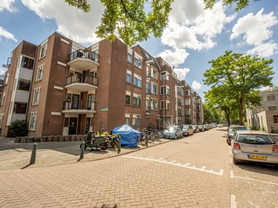 Jacob Catsstraat 378