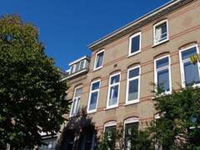 Apartment te huur in Arnhem