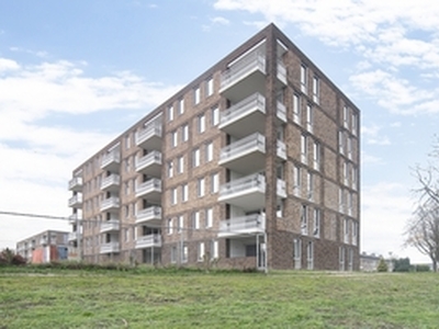 Apartment te huur in Bergen op Zoom