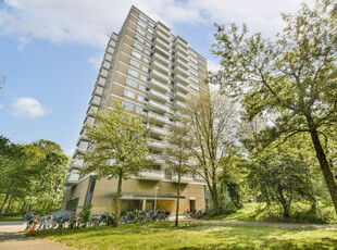 Appartement in Amsterdam met 3 kamers