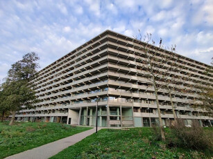 Appartement in Amsterdam met 3 kamers