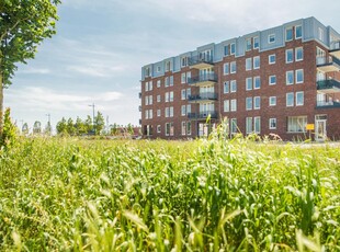 Appartement in Kampen met 3 kamers