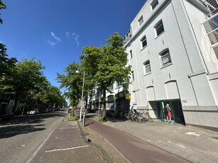 Appartement in Leiden met 3 kamers