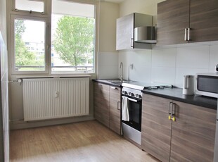 Appartement in Leiden met 5 kamers